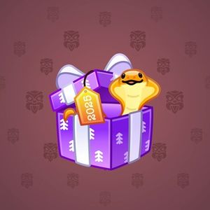Snake Box Purple #34