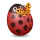 Ladybird