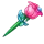 Tender Rose
