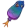 Pigeon