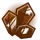 Bronzite