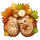 Hedgehogs