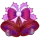Red Sparkle