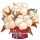Cotton