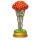Amanita