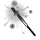 Inverted