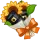 Sunflower Oil