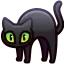 Scared Cat