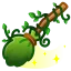 Vineyard