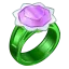 Water Lily