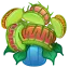 Venus Flytrap