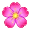 Aster
