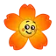 Carnation