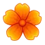 Clivia