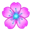 Lanceolata
