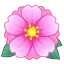 Peony