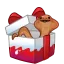 Choco Surprise