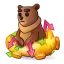 Bear Market