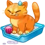 Litter Box