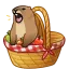Marmot