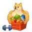Strong Doge