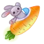 Baby Carrot